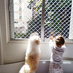 Rede de proteção, tela de proteção